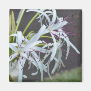 Floral Fragrance Magnet