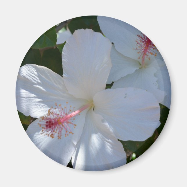 Floral Fragrance Magnet (Vorne)