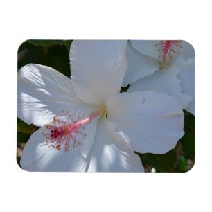 Floral Fragrance Magnet