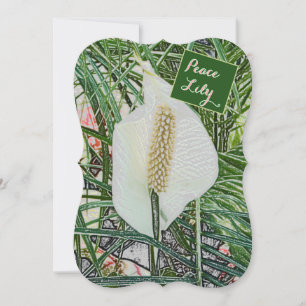FLORAL/FRIEDENSLILY/ "BLESSED SIND DIE. PEAKER"