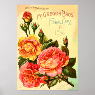 Floral Gemüsesatz Rose Vintager Saatgutkatalog Abd Poster