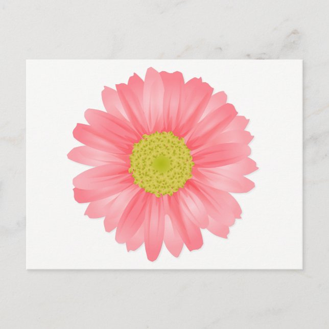 Floral Gerbera Daisy Pink & Gelbe Blume Postkarte (Vorderseite)