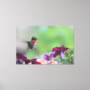 Floral Hummingbird Leinwand Art