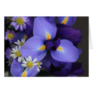 Floral, Iris et Mini Daisy, Notes vierges