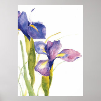 Floral Iris Wasserfarbe Poster