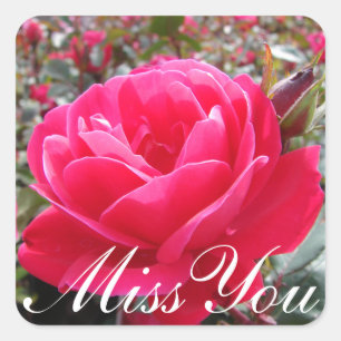 Floral Miss You Rosa Blume Quadratischer Aufkleber