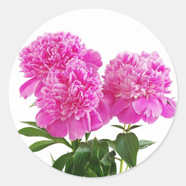 Floral Pink Fuchsia Peony Blume Bouquet Runder Aufkleber (Vorderseite)