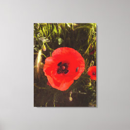 Floral Poppy Dreamer – Botanical Fantasy Art  Leinwanddruck