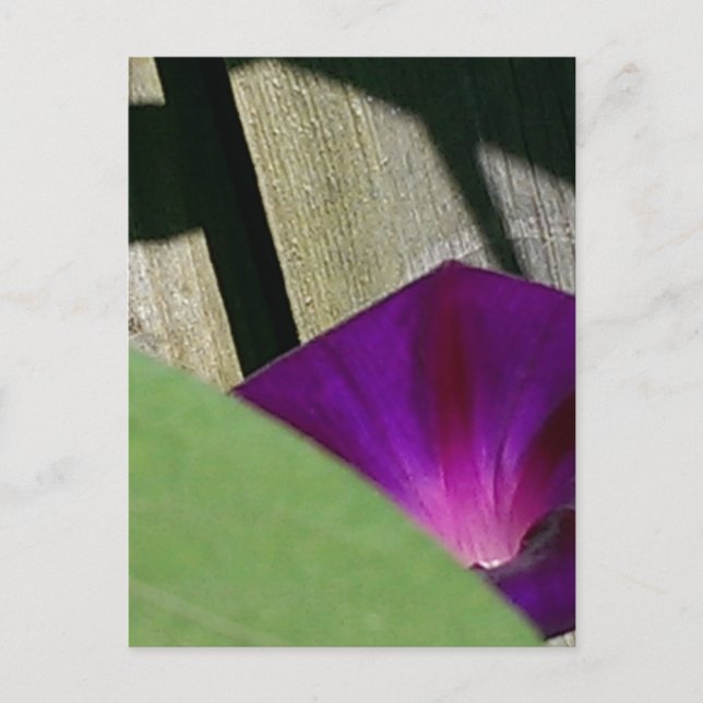 floral postkarte (Vorderseite)