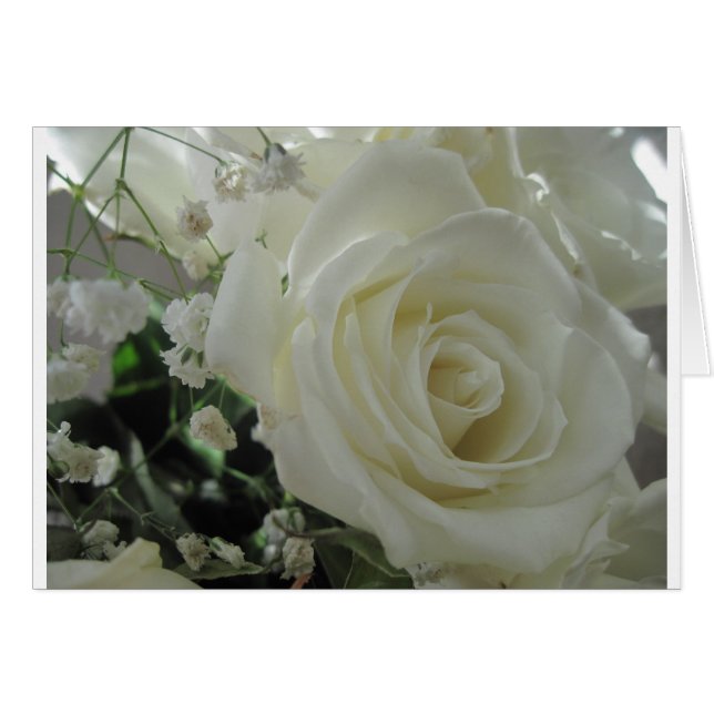 Floral rose (Devant horizontal)