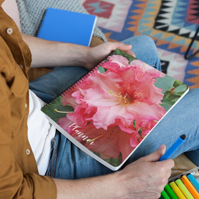 Floral rose Rhododendron (In Situ)