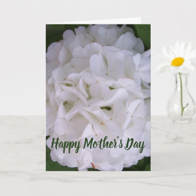 Floral Snowball Bloom Happy Mütter Day Card Karte (Kleine Pflanze)