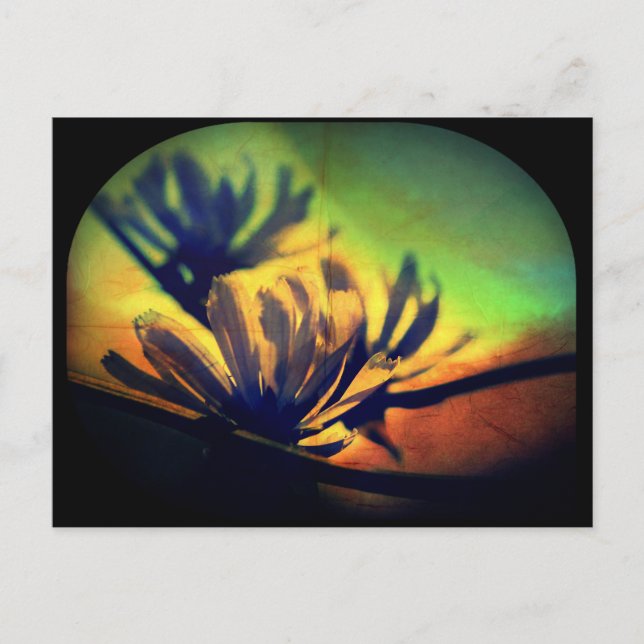 Floral Sunset View Postkarte (Vorderseite)