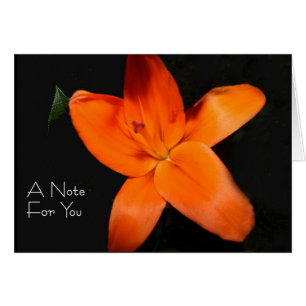 Floral Tiger Lily "Eine Note für Sie"