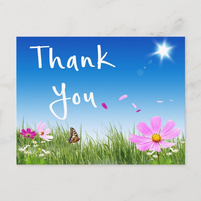 Floral Vielen Dank Daisy Butterfly Wildblumen Postkarte (Vorderseite)