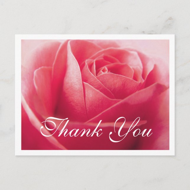 Floral Vielen Dank Pink Rose Blume Postkarte (Vorderseite)