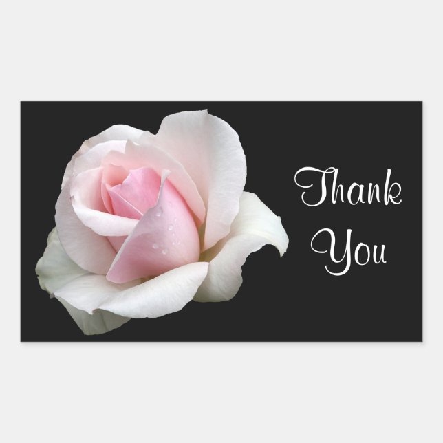 Floral Vielen Dank Pink Rose Blume Schwarze Rose Rechteckiger Aufkleber (Vorderseite)