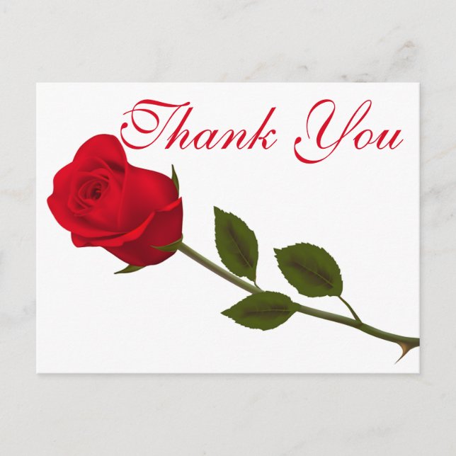 Floral Vielen Dank Rote Rose Blume Postkarte (Vorderseite)