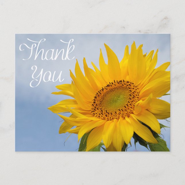 Floral Vielen Dank Sunflower Yellow Blumen Blue Sk Postkarte (Vorderseite)