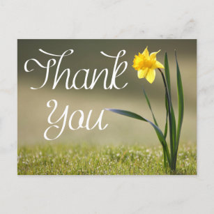 Floral Vielen Dank Yellow Daffodil Blume Postkarte