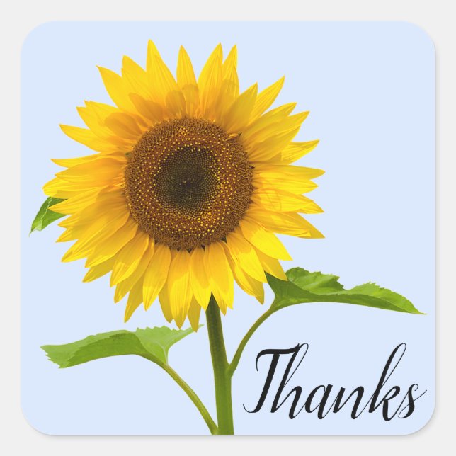 Floral Vielen Dank Yellow Sunflower Blue Sky Quadratischer Aufkleber (Vorderseite)