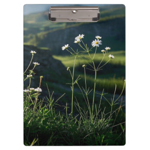 Floral Weiße Daisy Natur Landschaft Klemmbrett