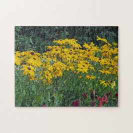 Floral Yellow Daisies Garden Foto