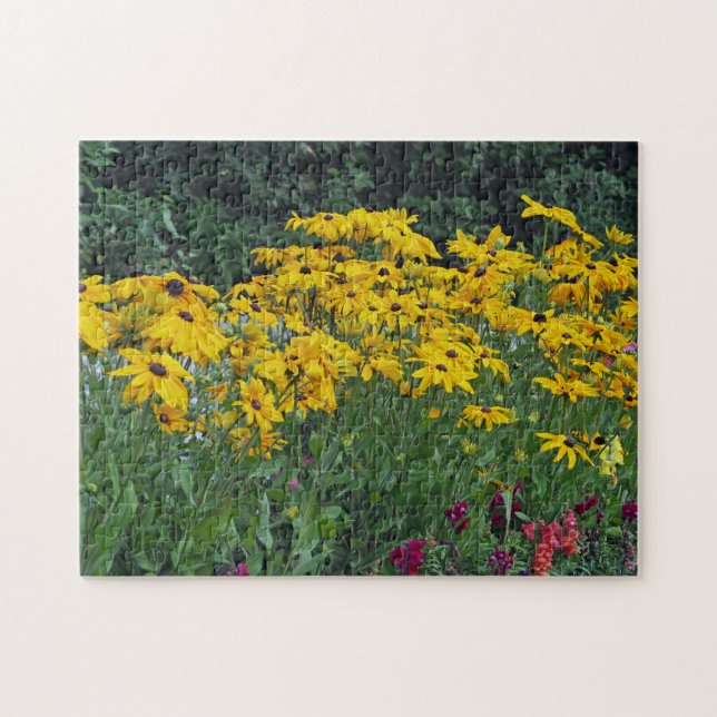 Floral Yellow Daisies Garden Foto (Horizontal)