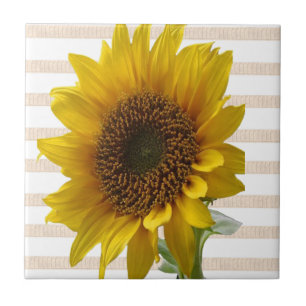 FloralClassic Sonnenblume Keramikfliese Beige Stre