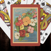 Florale Begonien Rosa 1902 Samenpackung Rot Türkis