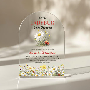 Florale Daisy Eine kleine Marienkäfer-Baby-Party Acryleinladungen