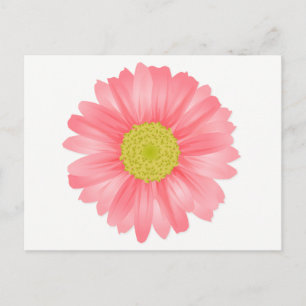 Florale Gerbera-Margerite Rosa und gelbe Blume Postkarte
