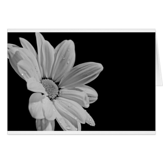 Florale Paisible (Devant horizontal)