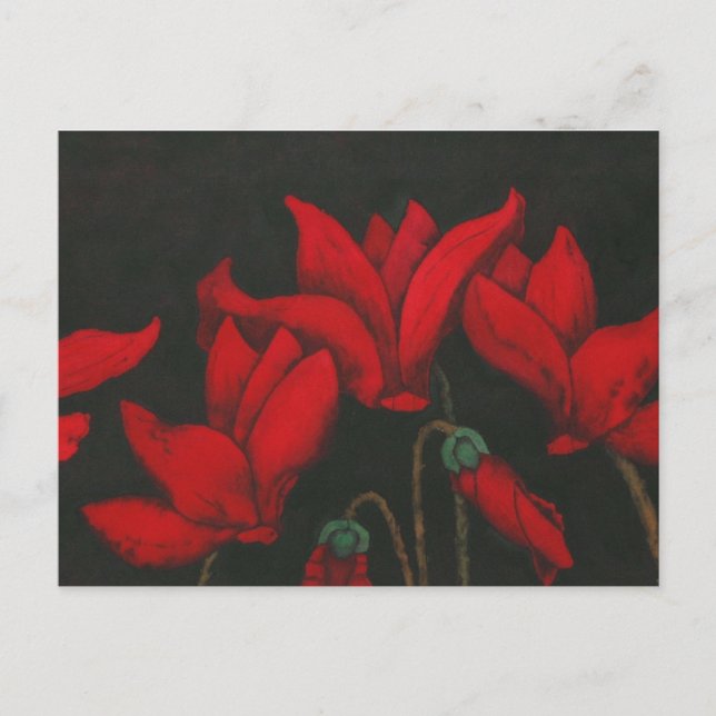 Florale Postkarte "Cycalman" (Vorderseite)