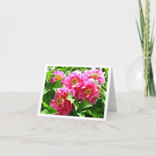 Florale rosa Pfingstrosen-Blume Blank Dankeskarte