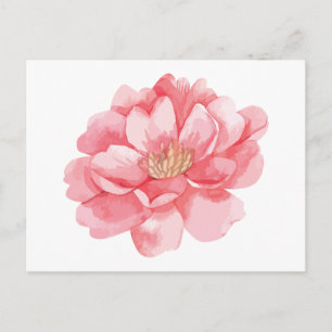 Florale rosa Pfingstrosen-Blumen Pfingstrosen Hall Postkarte