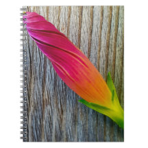 "Florales Foto