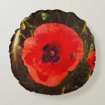 Florales Mohn-Traum – Botanische Fantasie Wildblum