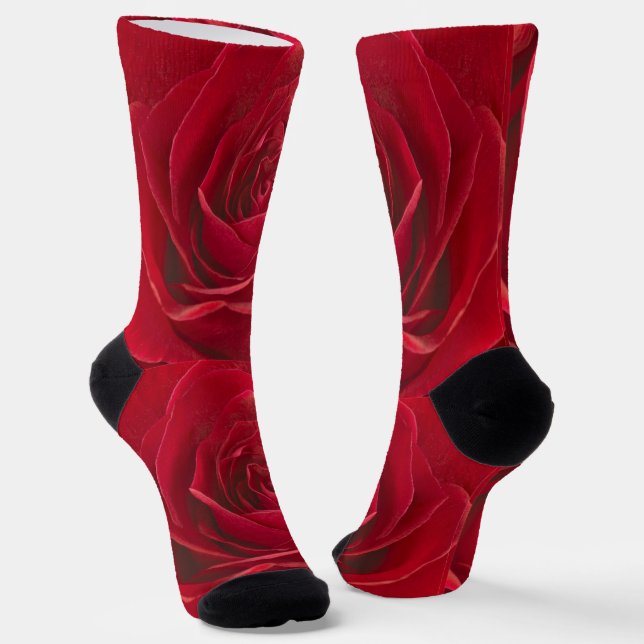 Floralfotografie: Fett Rot/Weiß Rose Center Socken (Gewinkelt)