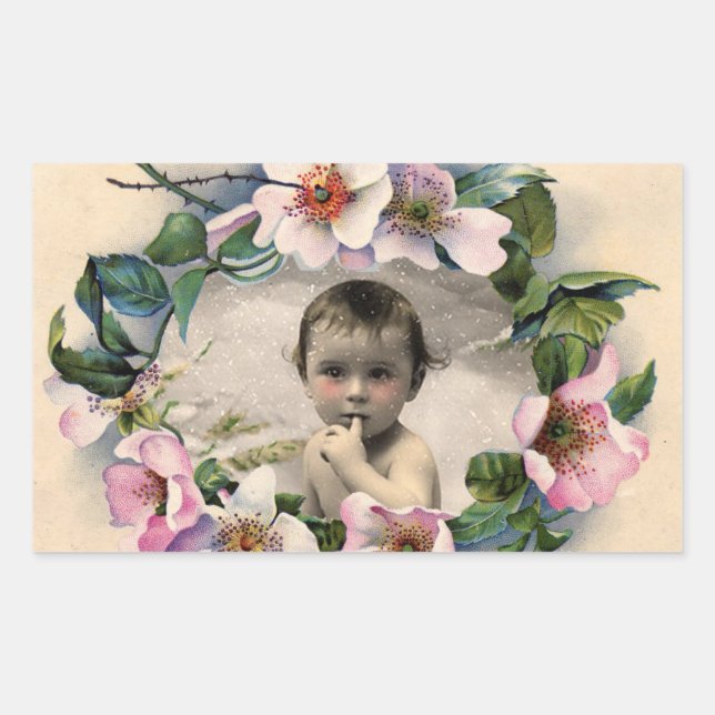 FLORALKULTUR,WILD ROSE BABY DUSCHE FOTOVORLAGE RECHTECKIGER AUFKLEBER (Vorderseite)