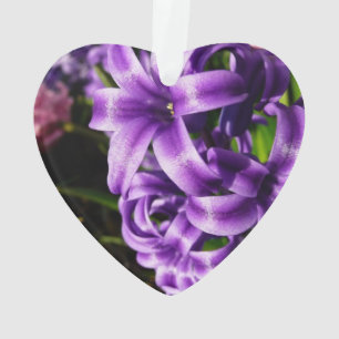 Flore de printemps Blue Hyacinth II
