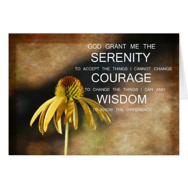 Flore d'échinacée de sérénité (Devant horizontal)