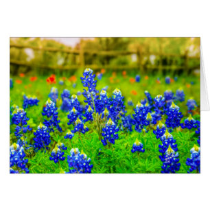 Flore des Bluebonnets du Texas