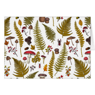 Flore et faune boisées 2