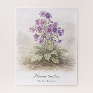 Florens tardiva Die Spätblüherin Botanisch