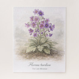Florens tardiva The Late Bloomer Botanical