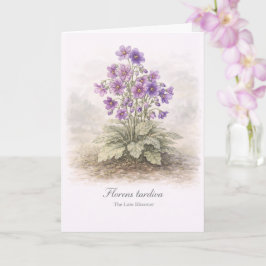 Florens tardiva The Late Bloomer Botanical Karte
