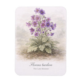 Florens tardiva The Late Bloomer Botanical Magnet
