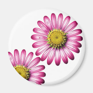 Flores de Gérbera Magnet