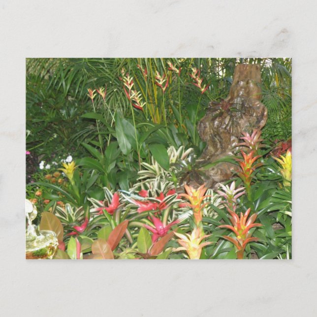 Flores en Aibonito Postkarte (Vorderseite)